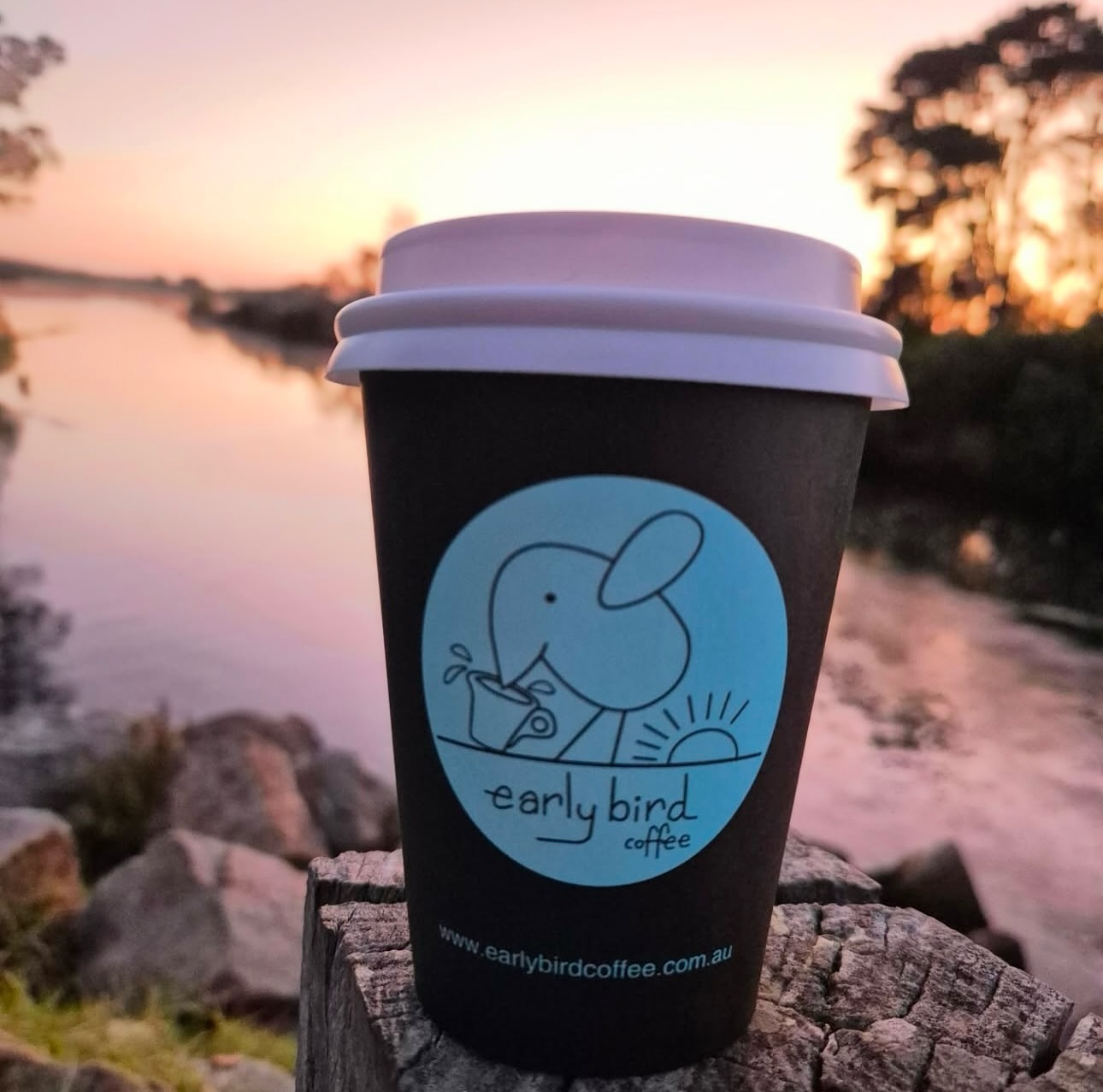 An Earlybird takeaway cup held up against a sunset over the water.