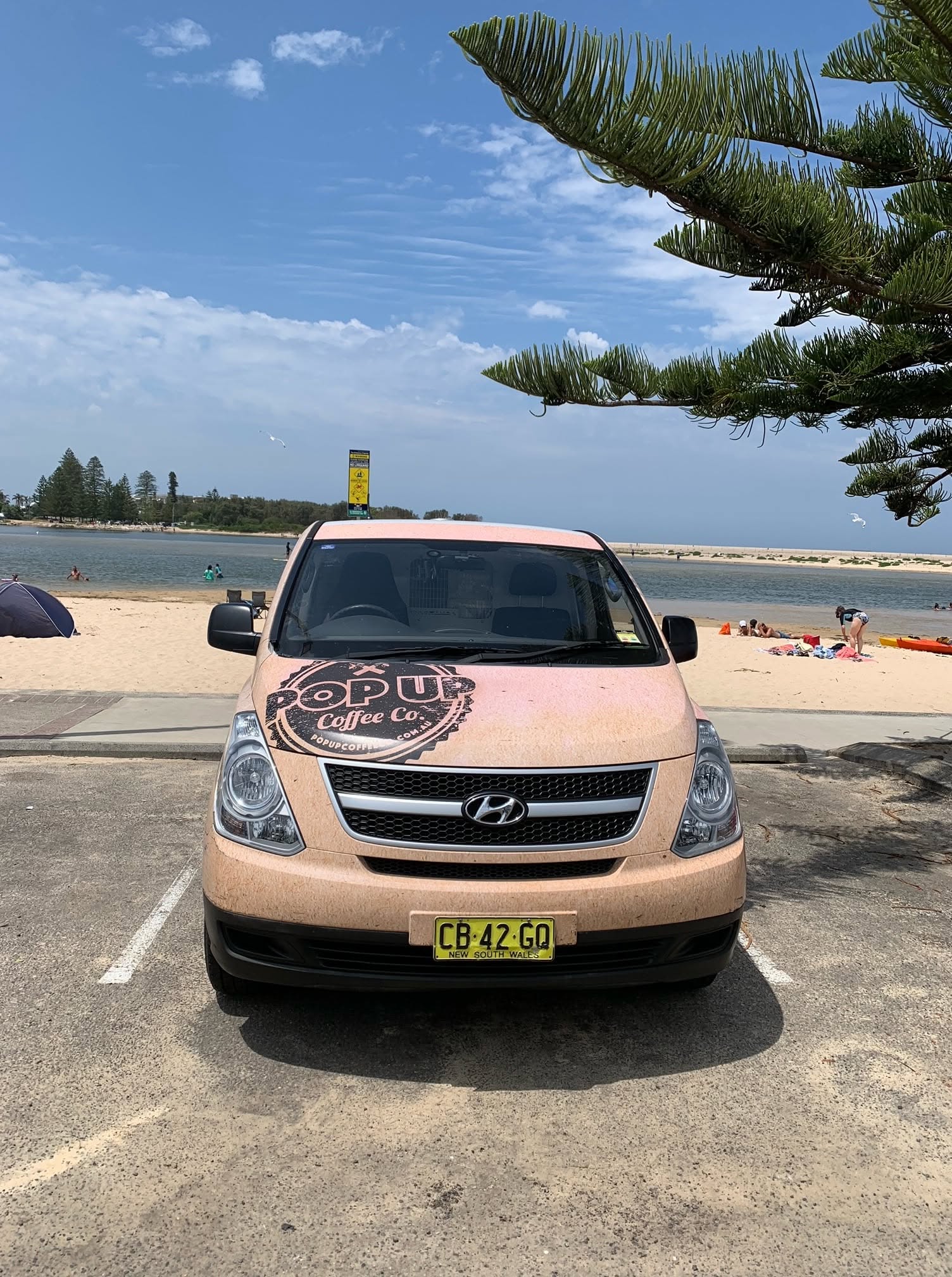 A rose-gold Popup Coffee Co van parked facing a swimming beach under a Norfolk pine.